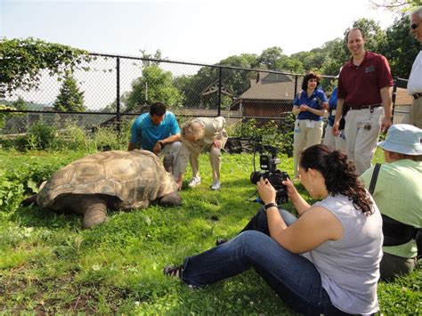 Giant Tortoises Come to Turtle Back Zoo | Maplewood, NJ Patch