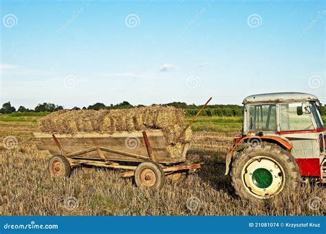 Baling Hay In Filed Stock Photo Image Of Country Field 21081074