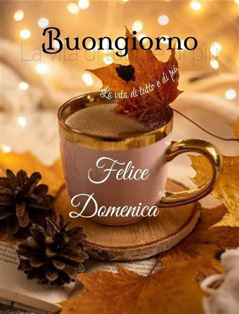 Pin Di Gianna Pieralli Su Buona Domenica Buongiorno Auguri Di Buona