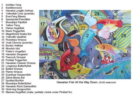 Hawaiian Fish ID chart - Fine Art of Lucy Arnold