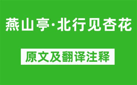 赵佶《燕山亭·北行见杏花》原文及翻译注释诗意解释学习力