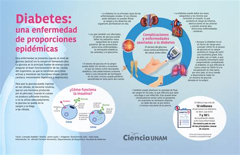 TODO LO QUE DEBES SABER SOBRE LA DIABETES TIPO Revista 59 OFF