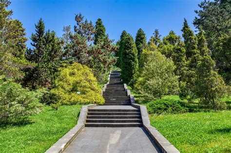 Дендрарий Сочи 💥: что это такое, цена на билеты, режим работы, что ...