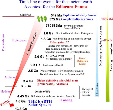 Ediacaran fauna Archives - Geological Digressions