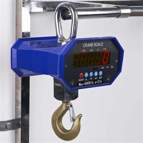 China Heavy Duty 30 Ton 20 Ton Digital Wireless Hanging Scale Ocs Crane