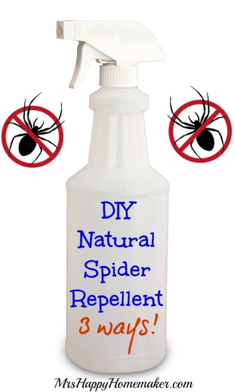 Diy Natural Spider Repellent 3 Ways Mrs Happy Homemaker