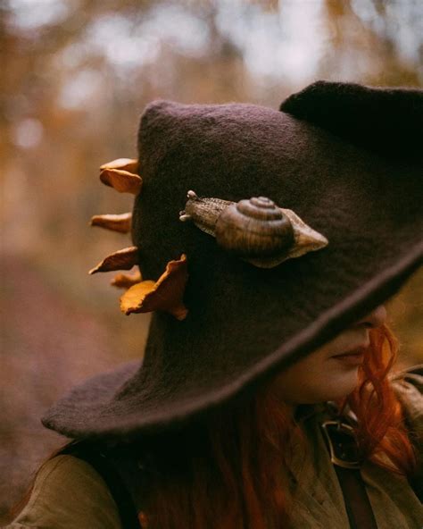 Mushroom Forest Witch Hats Media Chomp