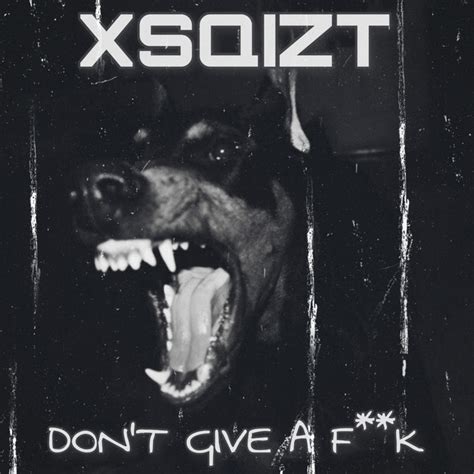 Don T Give A Fuck Single By Xsqizt Spotify