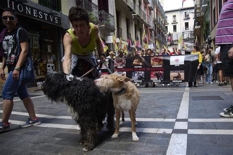 Manifestaci N Antitaurina