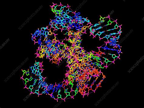 Hammerhead Ribozyme Molecule Stock Image F Science Photo