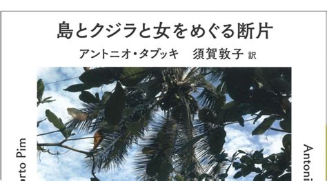 【島books And Culture】夢と現実（うつつ）の間（あわい）に浮かぶ、儚（はかな）き島々の記｜ritokei（離島経済新聞）