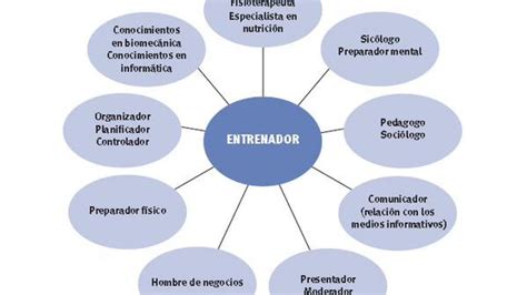 Eficacia Electo Emitir Caracteristicas De Un Entrenador Prestado