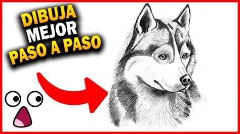 Lobo Dibujo A Lapiz Facil Dibujos A Lapiz Faciles Web Del Maestro