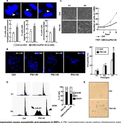 Figure 3 From Polo Like Kinase 1 Plk1 Overexpression Enhances Ionizing Radiation Induced