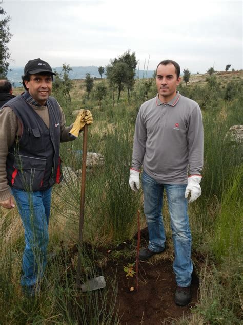 Detalhes Para A A O De Planta O Em Santo Tirso Futuro Projeto Das