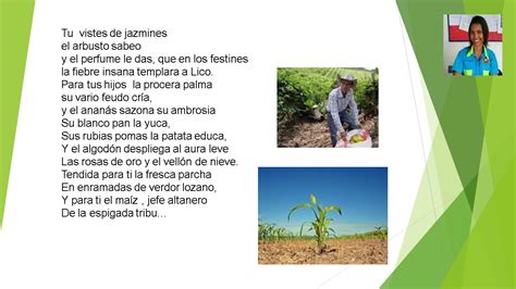 An Lisis Del Poema Silva A La Agricultura De La Zona T Rrida De Andr S