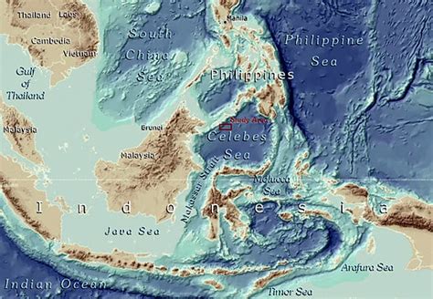 Creatures of the Celebes Sea – Woods Hole Oceanographic Institution