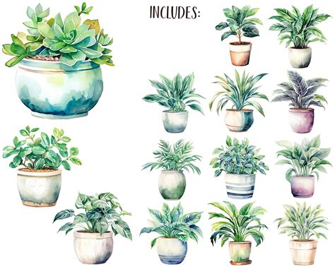 Watercolor House Plants Clipart Home Floral Decor Etsy