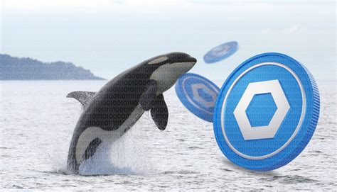 Chainlink Whales Move Millions M Pulled From Exchanges Boosting