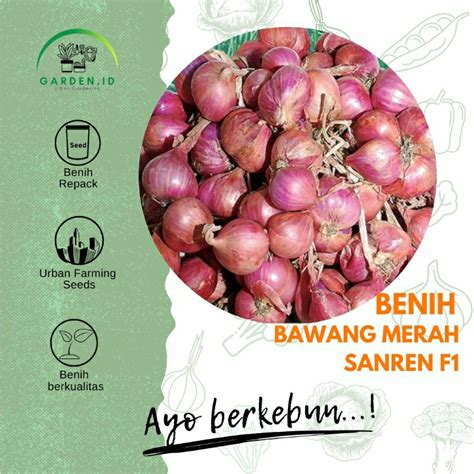 Jual Benih Bawang Merah Sanren F Cap Panah Merah Shopee Indonesia