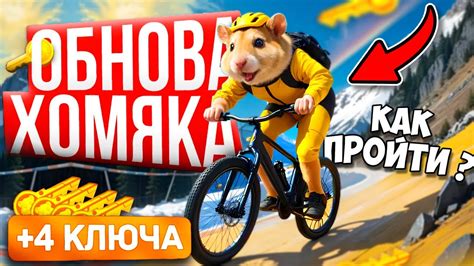 Hamster Kombat Bike Ride D