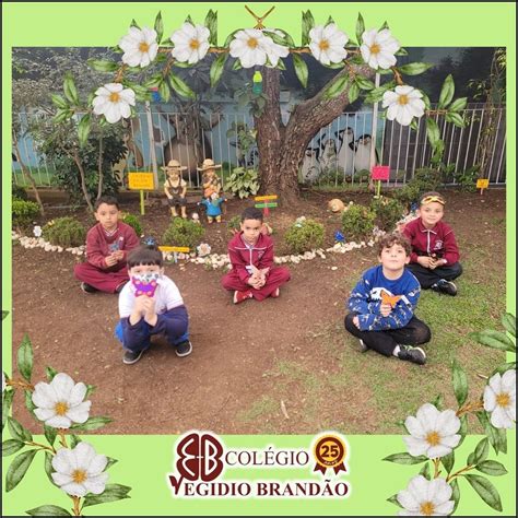 Escola Na Cidade Dutra - 5
