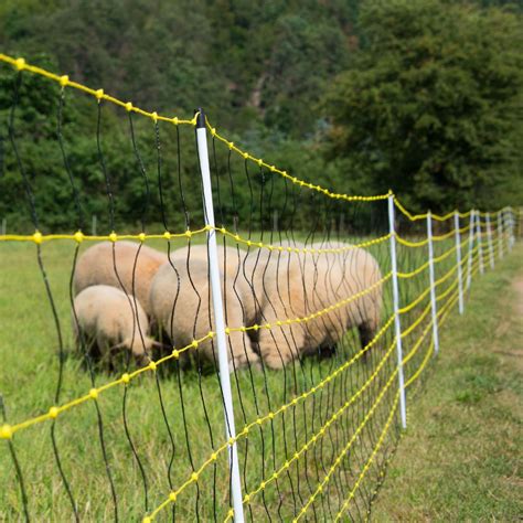 Vertical Netting For Sheep Or Goats 50 M H 120 Cm Double Prong