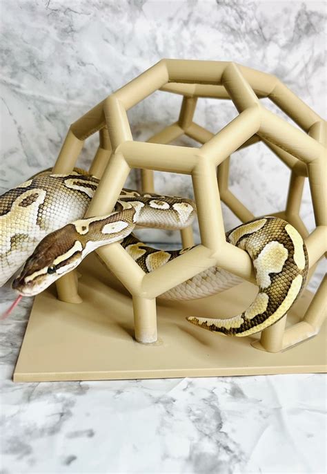 Python Playground STANDARD Snake Enrichment - Etsy