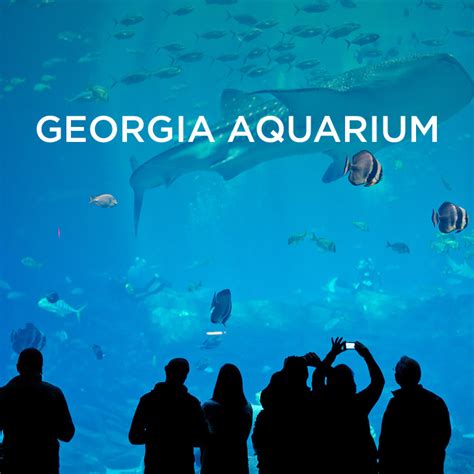 The Georgia Aquarium Atlanta GA - World's Largest Aquarium