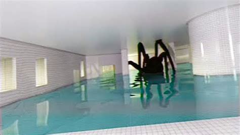 Worlds Scariest Swimming Pool