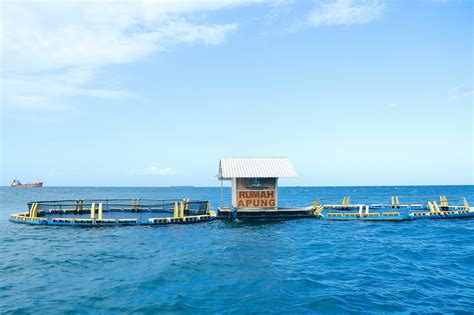 Bangsring Underwater Wisata Banyuwangi AUNAL Travel