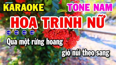 Karaoke Hoa Trinh Nữ Tone Nam Nhạc Sống Trữ Tình Mới Hay Kho Nhạc