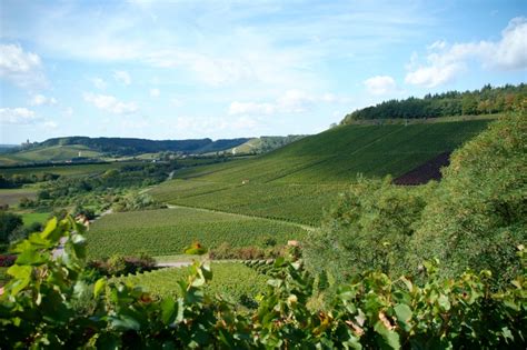 Weing Rtner Stromberg Wine Tasting Tour Winetourism