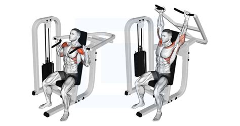 Resistance Band Seated Shoulder Press - Guide, Benefits, and Form