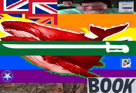 The Best Of R Vexillology Flag Of R Vexillologycirclejerk Top Of All