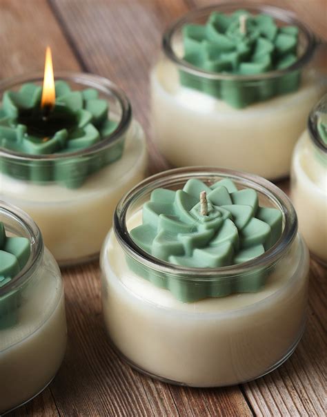 Succulent Candle Project Brambleberry Succulents Candles Diy