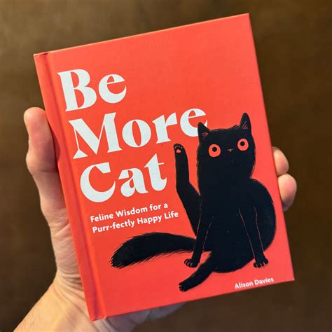 Be More Cat | grow urban. Edinburgh