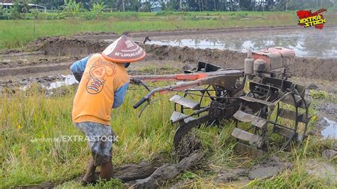 Rumput Lebat Traktor Sawah Roda Besar Menggarap Lahan Rumputnya Lebat