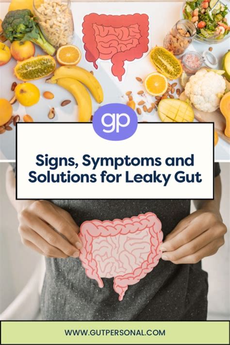 Leaky Gut 101 Symptoms Solutions And Your Path To Healing Artofit