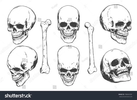 Scary Skull Pictures Images Stock Photos Vectors Shutterstock