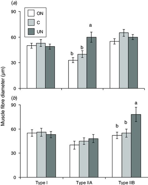 Effect Of Maternal Nutrition Levels From Day 30 To Day 80 Of Gestation