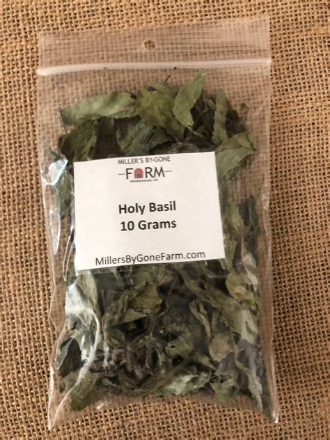 Holy Basil - Tulsi - Dried