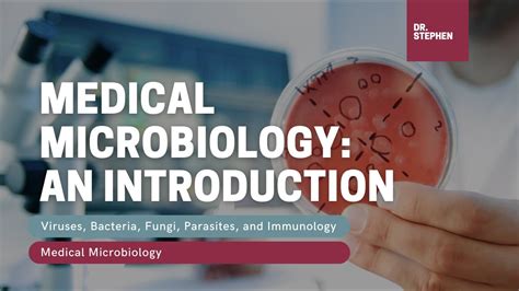 Medical Microbiology An Introduction Youtube