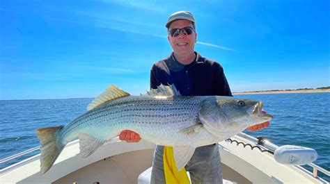 Surfland Bait And Tackle Plum Island Fishing Big Bellies