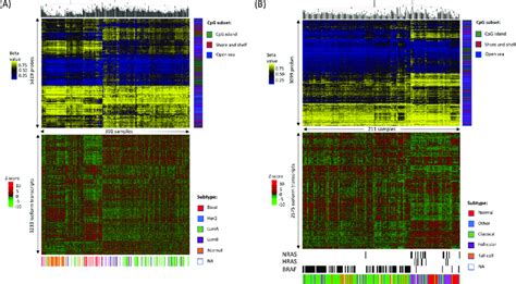 Clustering Patterns Of Correlated Dna Methylation And Isoform Usage