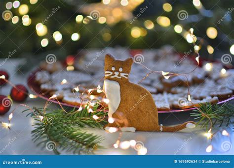 Cute Gingerbread Cat Christmas Cookie Stock Photo Image Of Icing