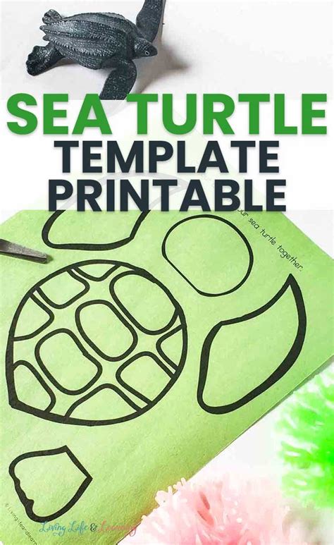 Free Printable Turtle Template Free Printable