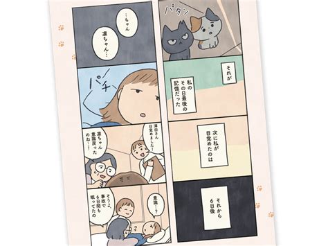 愛猫家共感必至の話題作 【マンガ】特別公開！ オキエイコ 『もしもなんて来ないと思っていた猫』