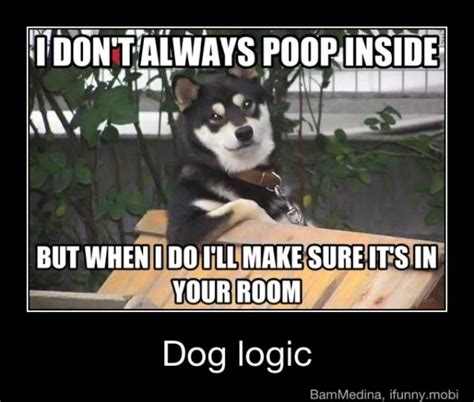 Ifunny Dog Logic Cute Cats And Dogs Funny Memes