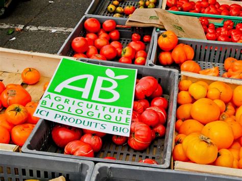 Bio équitable durable comment se repérer dans les labels Challenges